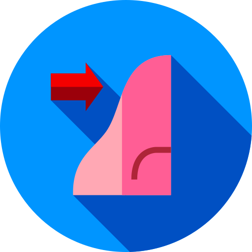 Rhinoplasty icon